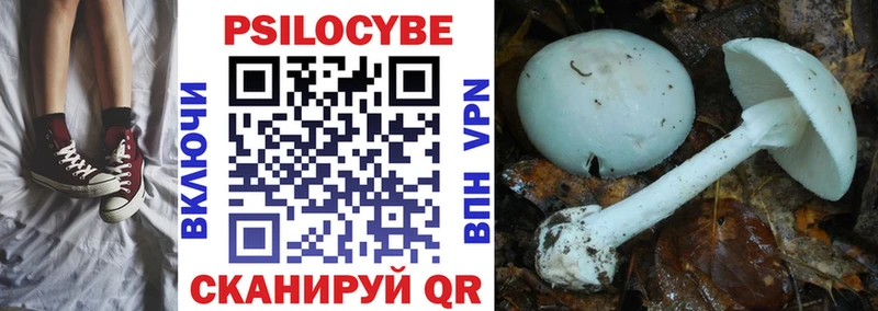Псилоцибиновые грибы Psilocybine cubensis  Арзамас 